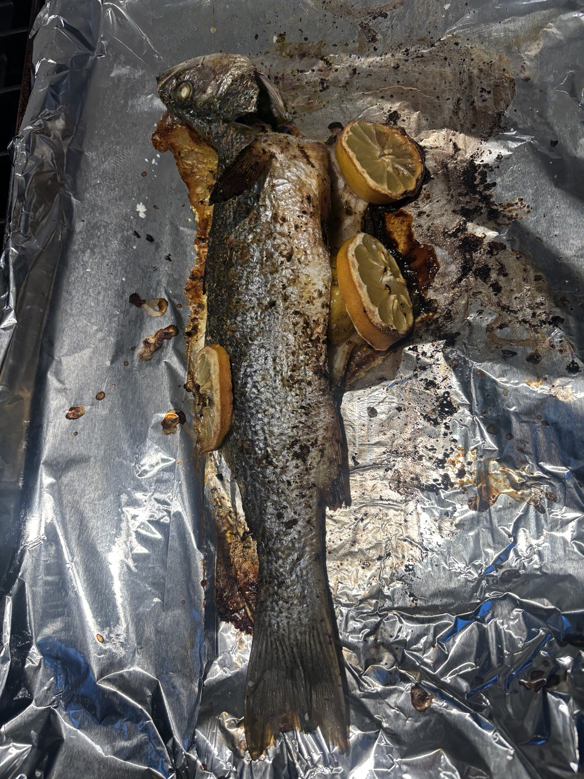 Whole roasted porgy with lemon